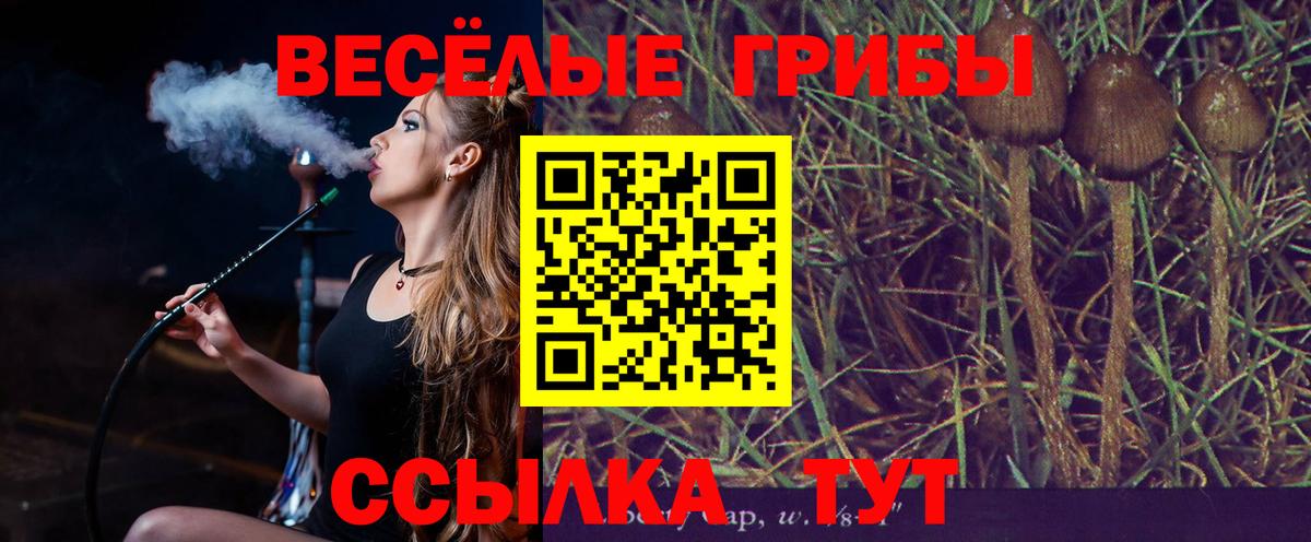 Галлюциногенные грибы Psilocybine cubensis  Вход с VPN  Амурск  Псилоцибиновые грибы Magic Shrooms 
