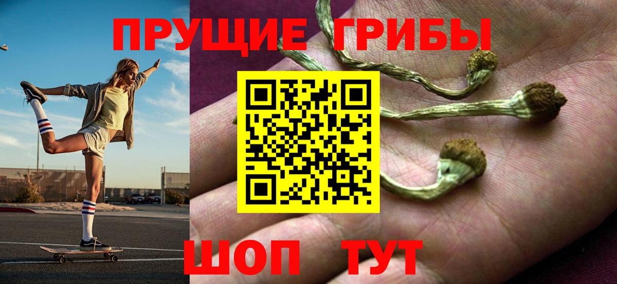 Псилоцибиновые грибы ЛСД Амурск